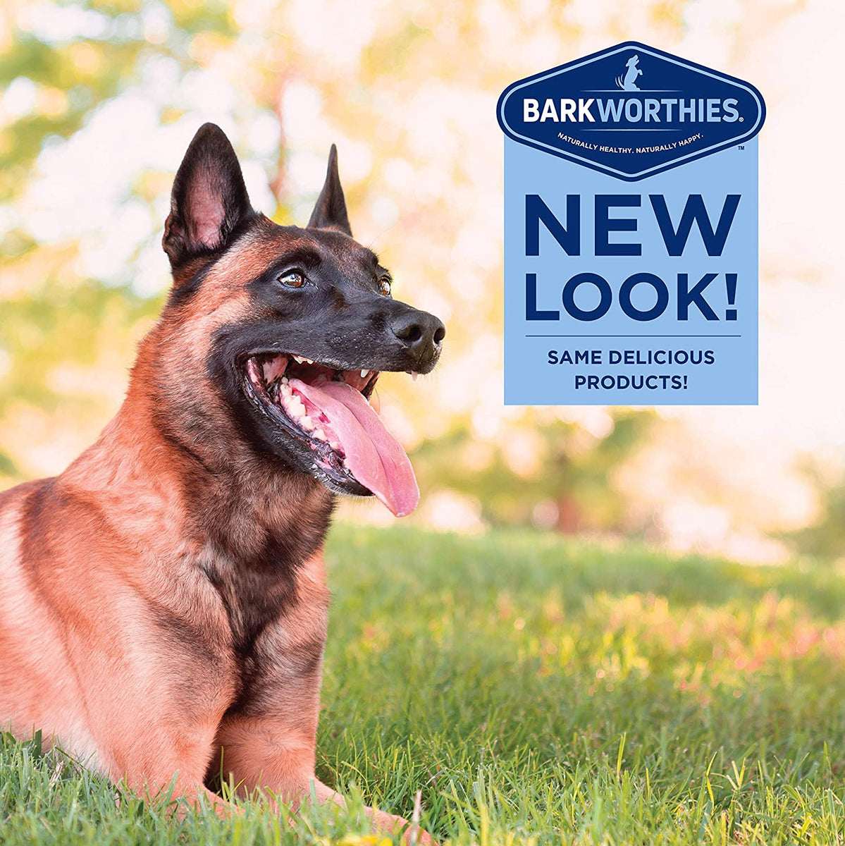 Barkworthies Protein-Rich Cow Ears (10 Chews) –