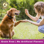 Cloud Star Tricky Trainers Chewy & Grain Free, Low Calorie Dog Training Treats - Duelenterprises.com