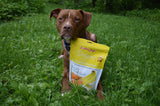 Grandma Lucy's Organic Oven Baked Dog Treats - Duelenterprises.com