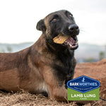 Barkworthies Lamb Lung Chips Dog Treats - Duelenterprises.com