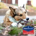 Barkworthies 6-inch Beef Gullet Sticks - Duelenterprises.com