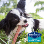 Barkworthies Odor-Free Bully Sticks - Healthy Dog Chews - Duelenterprises.com